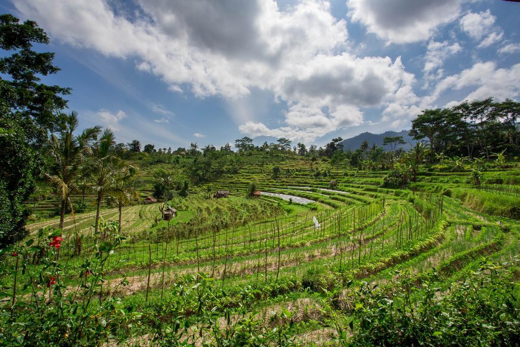 Subak Tabola Villa Sidemen  Bagian luar foto